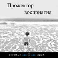 Животные и время