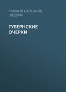 Губернские очерки
