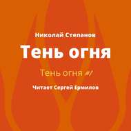 Тень огня