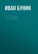 Сосны