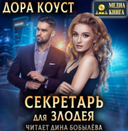 Секретарь для злодея