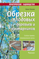 Обрезка плодовых деревьев и кустарников