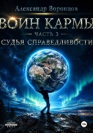 Воин Кармы. Часть 3. Судья Справедливости
