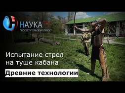 Испытание стрел на туше кабана