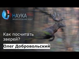 Как посчитать зверей?