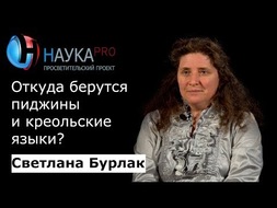 Откуда берутся пиджины и креольские языки?