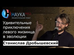 Удивительные приключения левого мизинца в эволюции
