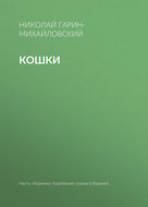 Кошки