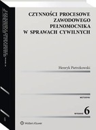 Czynności procesowe zawodowego pełnomocnika w sprawach cywilnych