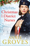 The District Nurse