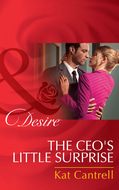 The Ceo's Little Surprise