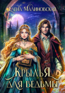 Крылья для ведьмы