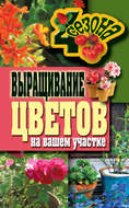 Выращивание цветов на вашем участке