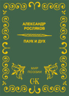 Паук и дух