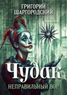 Чудак. Неправильный вор
