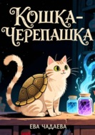 Кошка черепашка