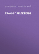 Грачи прилетели