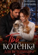 Три котёнка для ветеринара