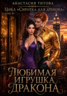 Любимая игрушка дракона