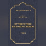 Путешествия на Новую Гвинею (Дневники путешествий 1874—1887). Том 2