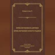 Приключения в Африке. Приключения юного раджи (сборник)