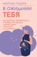 В ожидании тебя. Как встретить беременность и первые три месяца новой жизни спокойно и осознанно