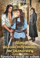 Мой таинственный незнакомец, или Крокодил назад не ходит