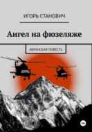 Ангел на фюзеляже