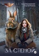 Проект «Миры пяти солнц» За стеной