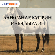 Илья Бырдин