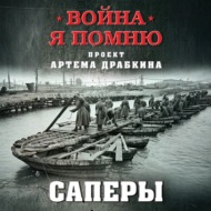 Саперы