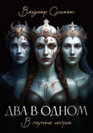 Два в одном. В паутине интриг