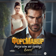 ФорсМажор. Незачёт по браку, Босс!