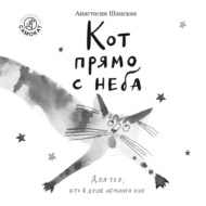 Кот прямо с неба