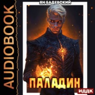 Инквизитор. Книга 5. Паладин
