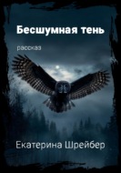 Бесшумная тень