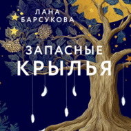 Запасные крылья