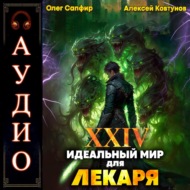 Идеальный мир для Лекаря 24