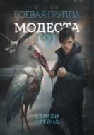 Боевая группа Модеста