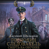 Господин следователь. Смерть на обочине
