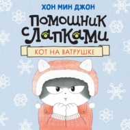 Помощник с лапками. Кот на ватрушке