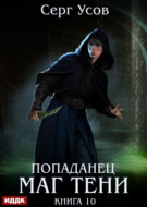 Попаданец. Маг Тени. Книга 10