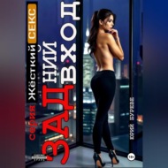 Жёсткий секс. Задний вход