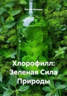 Хлорофилл: Зеленая Сила Природы