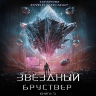 Звездный бруствер. Книга 5