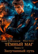 Тёмный маг. Книга 11. Запутанный путь