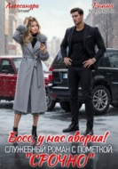 Босс, у нас авария! Служебный роман с пометкой "Срочно"