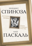 Алгебра любви. Разум поверяет чувства