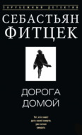 Дорога домой