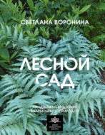 Лесной сад. Ландшафтный дизайн в гармонии с природой